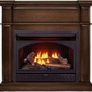ProCom Dual Fuel Vent  Gas Fireplace System – 26,000 BTU, T-Stat Control, Gingerbread Finish – Model# FBNSD28T-3G