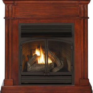 ProCom Dual Fuel Vent  Gas Fireplace System – 32,000 BTU, Remote Control, Autumn Spice Finish – Model# FBNSD400RT-1AT