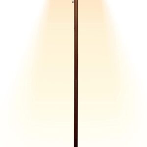 Simple Deluxe 1500W Patio Electric Heater,Outdoor Patio Heater Infrared Heater for Camping,Black