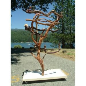 5′ AFGRAY GW Sandblasted Manzanita Parrot Tree Stand bird perch PLAY STAND GYM