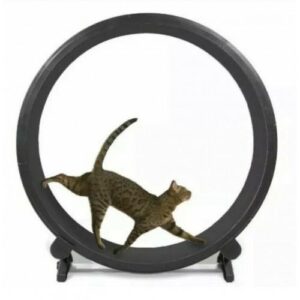 One Fast Cat Exercise Wheel – Black – New In Box