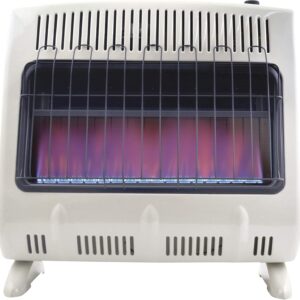 BNI 30,000-BTU Natural Gas Heater for Indoor Use(Blue Flame)