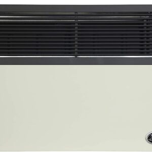 Ashley Hearth Products DVAG17L 17,000 BTU Direct Vent Propane Heater, Cream