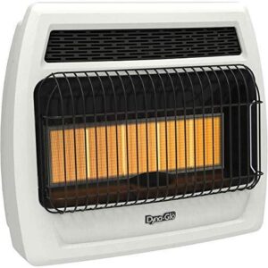 Dyna-Glo IR30DTL-2 30000-BTU Wall Or Floor-Mount Natural Gas Or Liquid Propane Vent- Infrared Heater