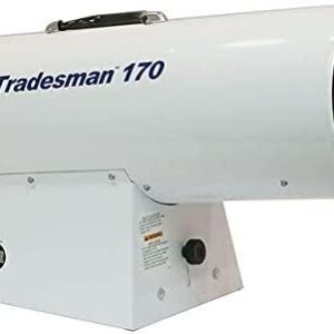 Forced Air Portable Gas Heater, Liquid Propane, 625 cfm, 10 in Wx