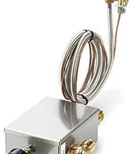 Hearth Products Controls Match Lit Flame Sensing Control System (FPSPPK-LP), Propane